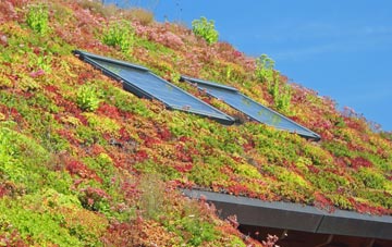 Rhydycroesau living roof systems